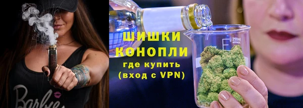 бошки Няндома