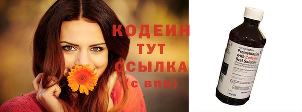 бошки Няндома