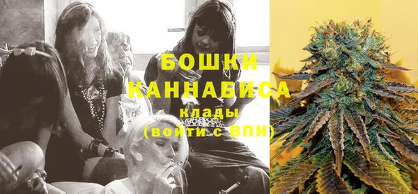 бошки Няндома