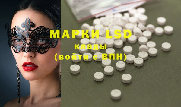mdpv Гатчина