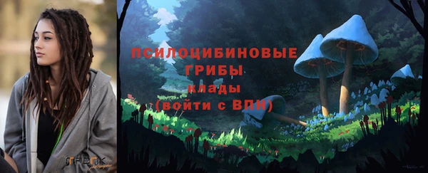 гидропоника Нягань