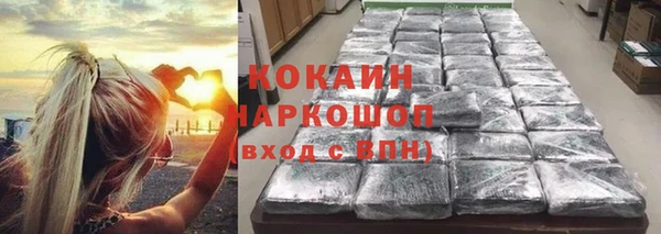 бошки Няндома