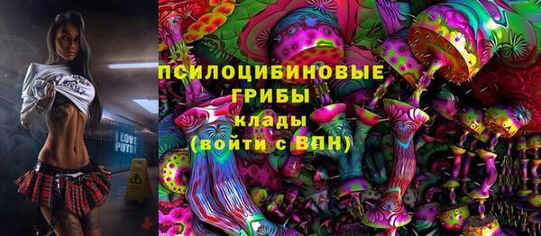 бошки Няндома