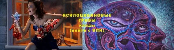 гидропоника Нягань