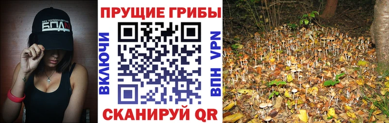 Галлюциногенные грибы Magic Shrooms  где найти наркотики  Артёмовск 